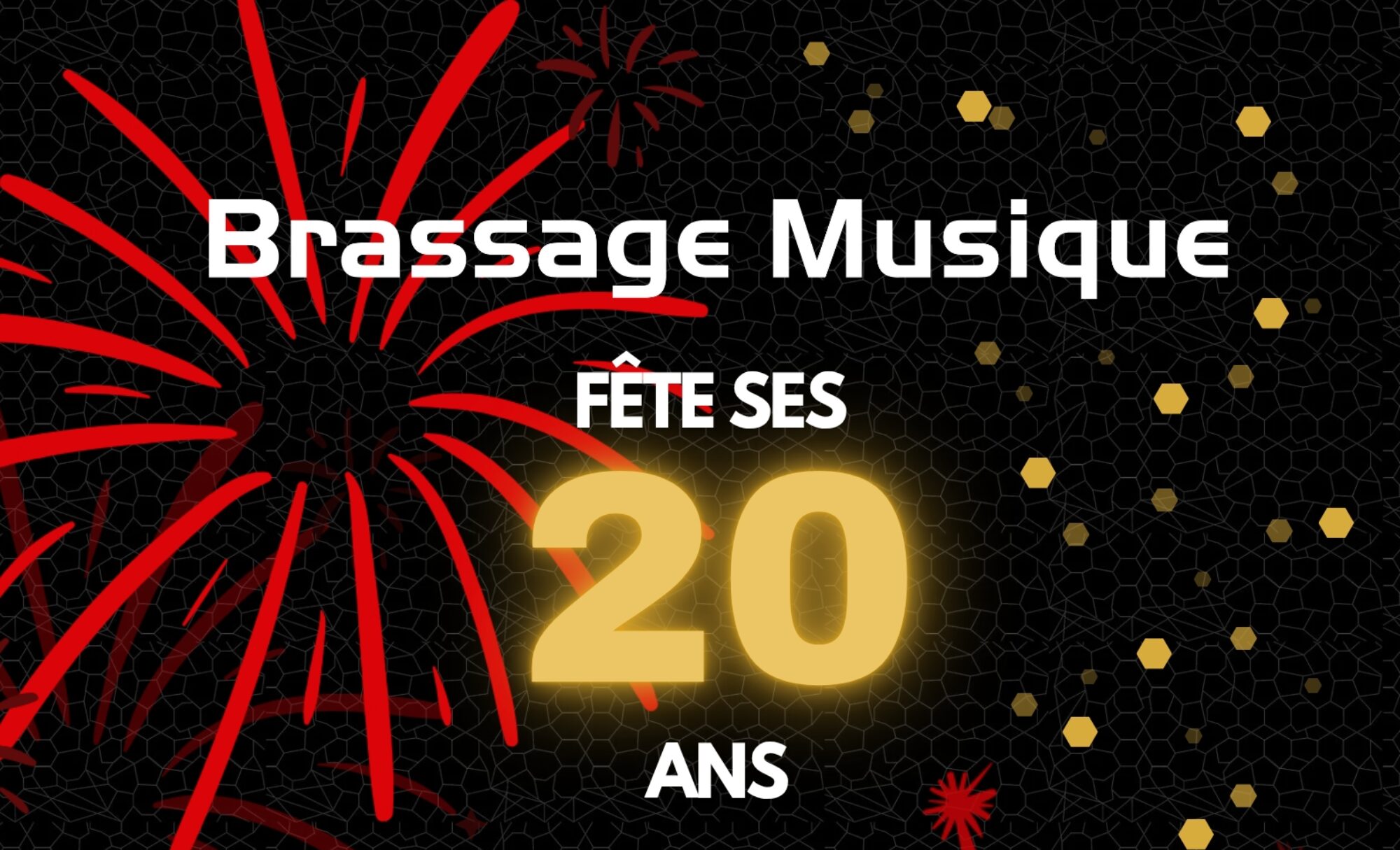 Affiche concert des 20 ans Brassage Musique